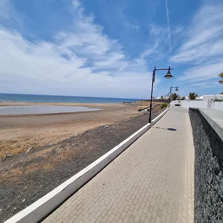 Luxury Coral First Line Of The Sea *